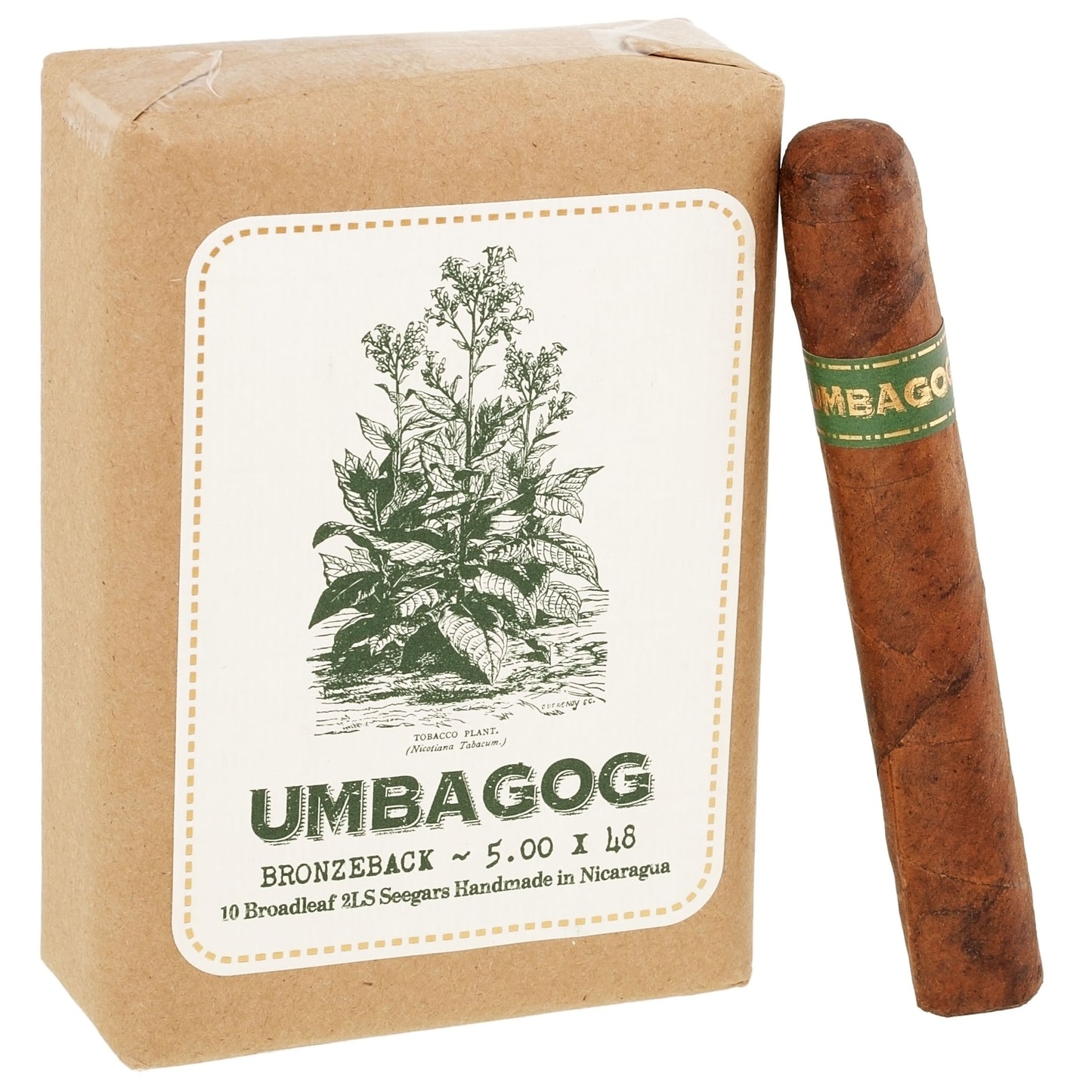 Umbagog Bronzeback