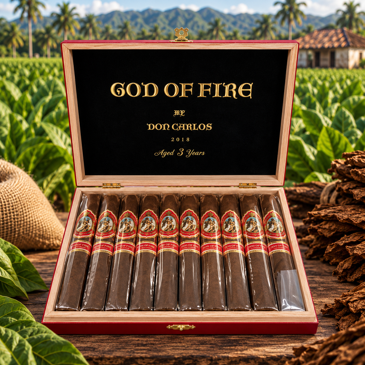 God Of Fire By Don Carlos Robusto