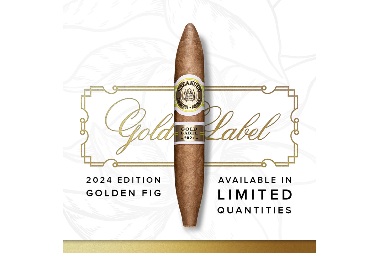 Macanudo Golden Fig 2024 Figured