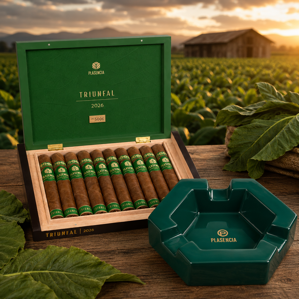 Combo Plasencia Triunfal Limited Edition + Cenicero Plasencia Gratis