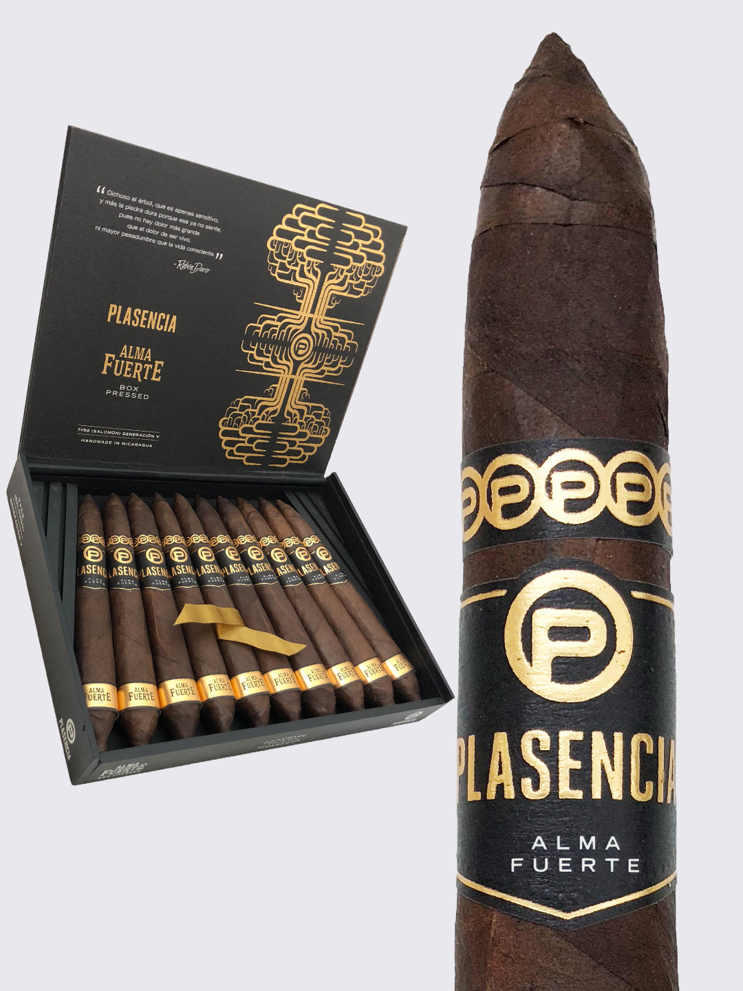 Plasencia Strong Soul Generation V Salomon