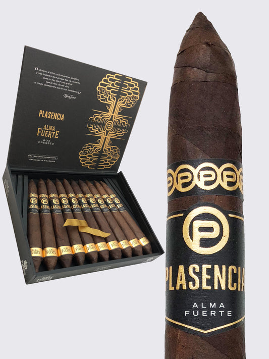 Plasencia Strong Soul Generation V Salomon