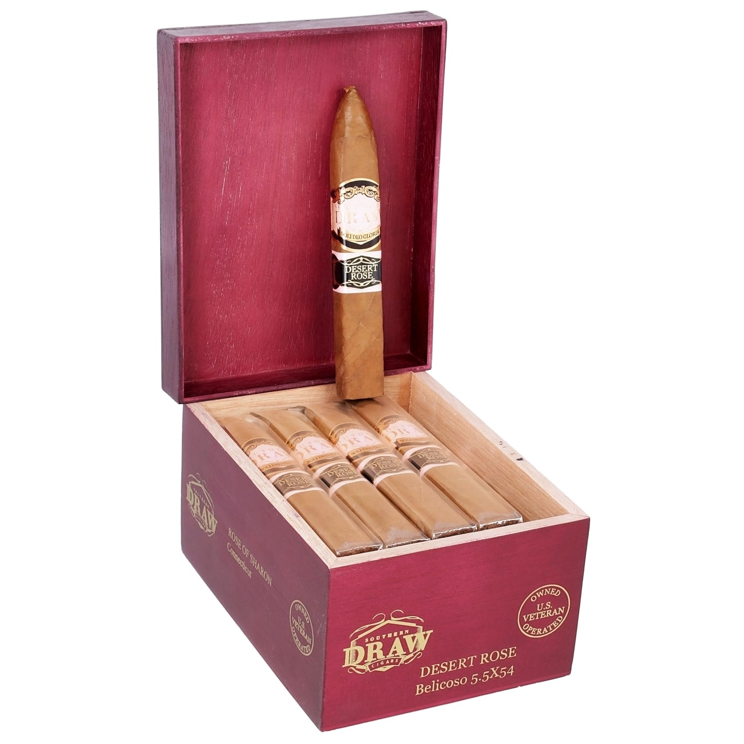 Southern Draw Rose of Sharon Belicoso Fino