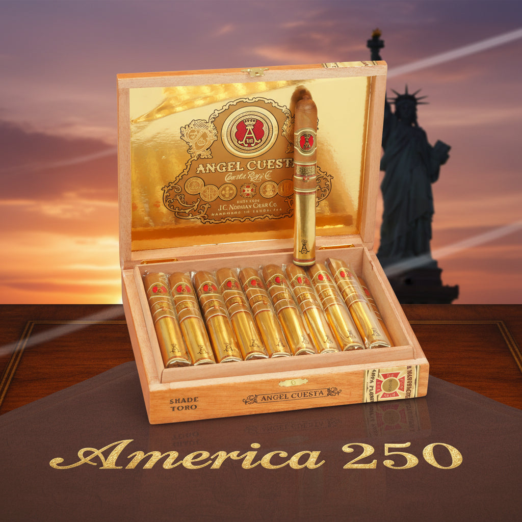 Angel Cuesta shade Toro