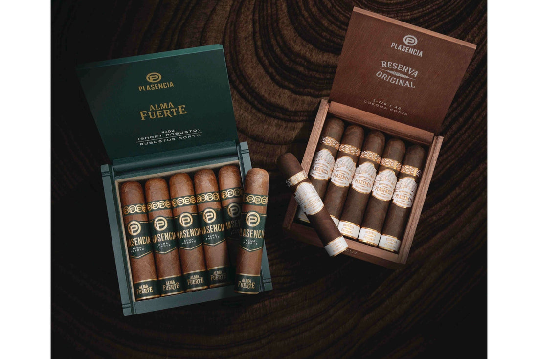 Plasencia lanza la “Short Smokes Collection”: lujo cotidiano en formatos cortos