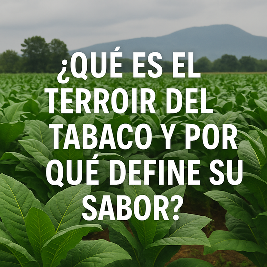 ¿Qué es el terroir del tabaco y por qué define su sabor?