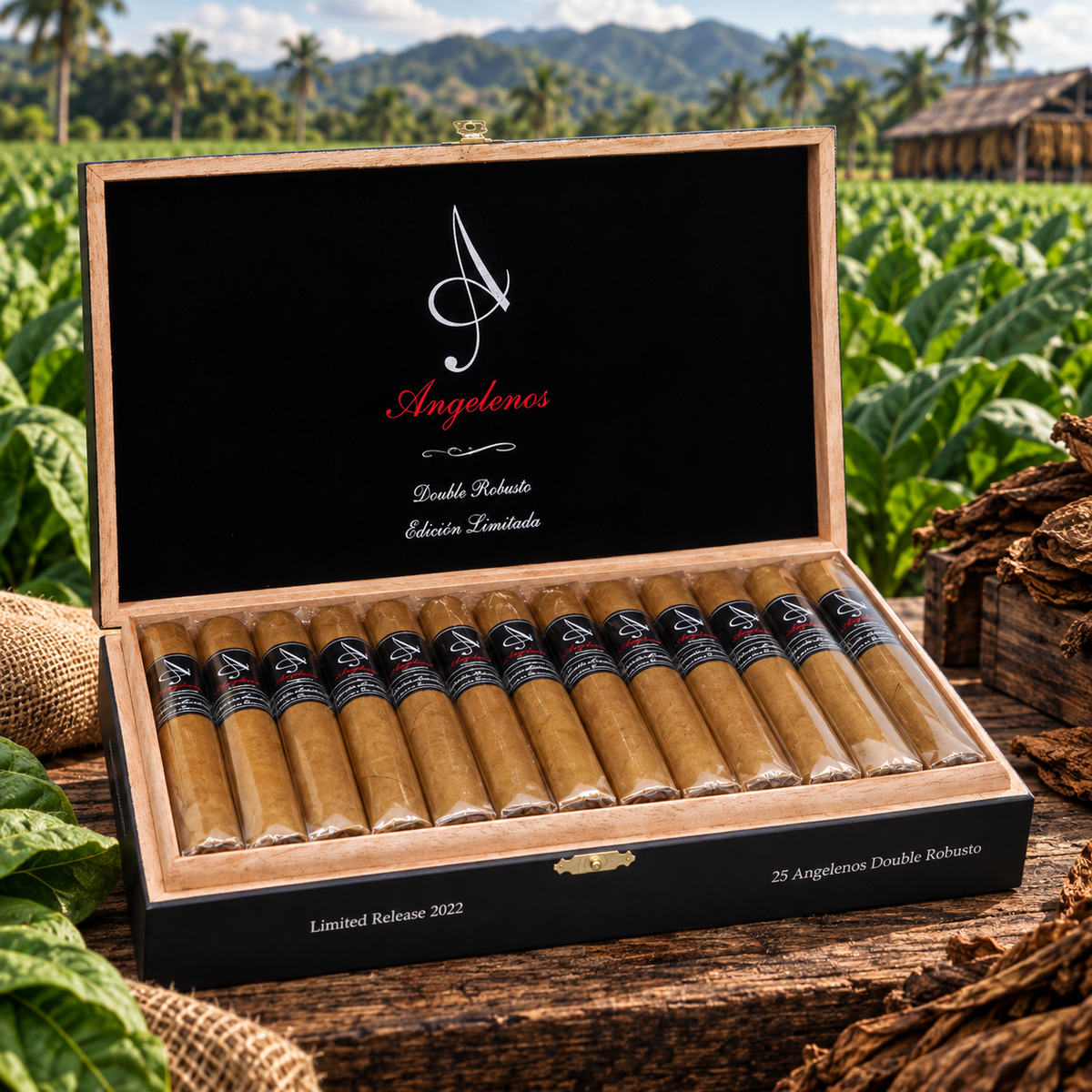 Angelenos Double Robusto