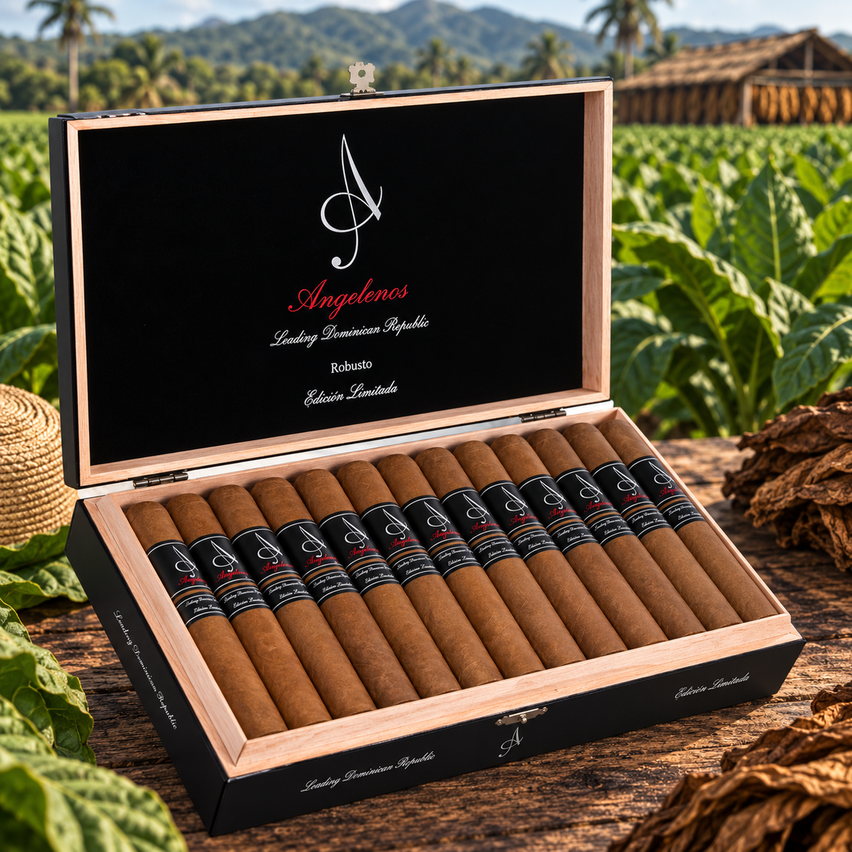 Angelenos Robusto