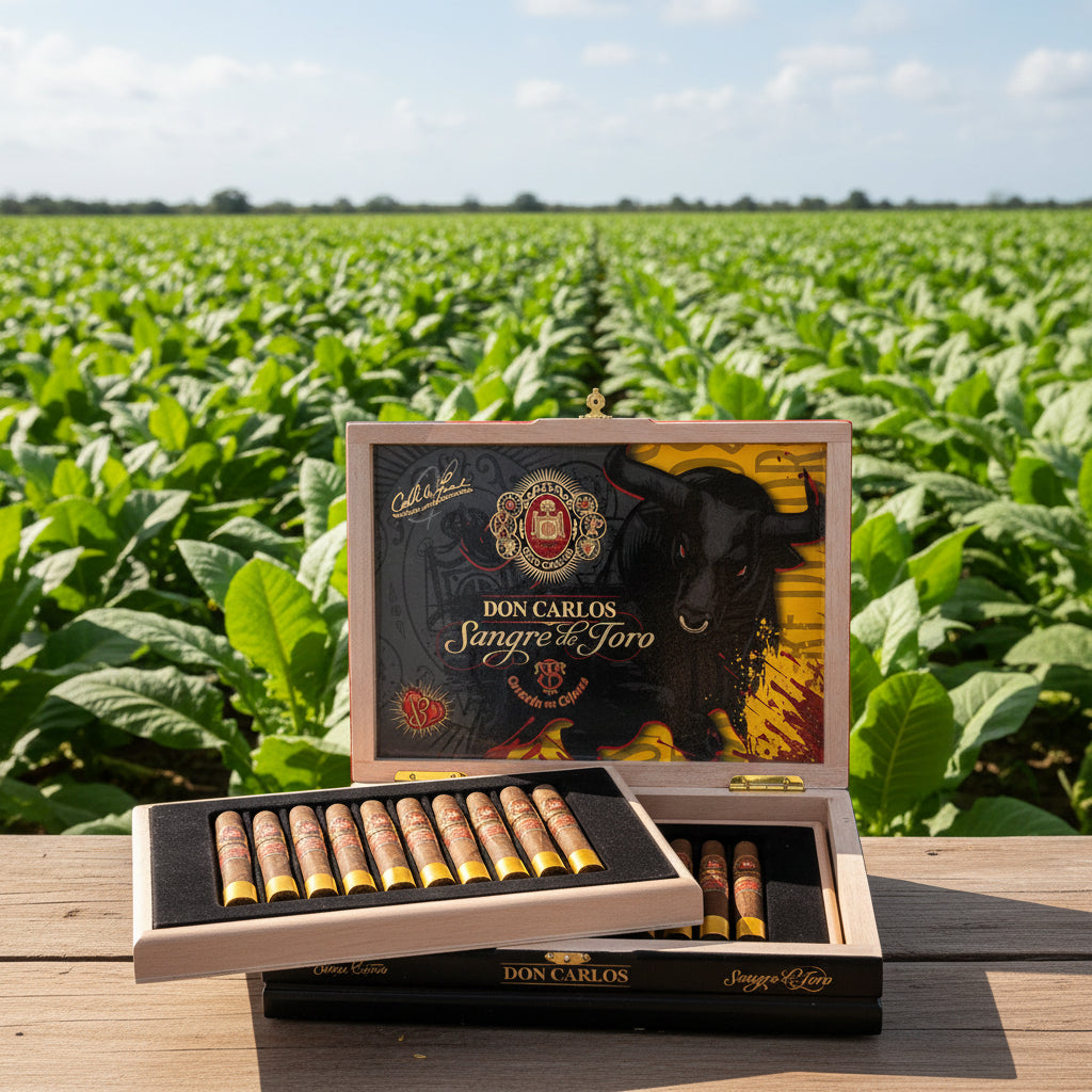 Arturo Fuente Sangre de Toro Undefeated