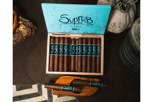 Blackbird Superb Robusto Gordo