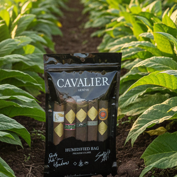 sampler cavalier cigars