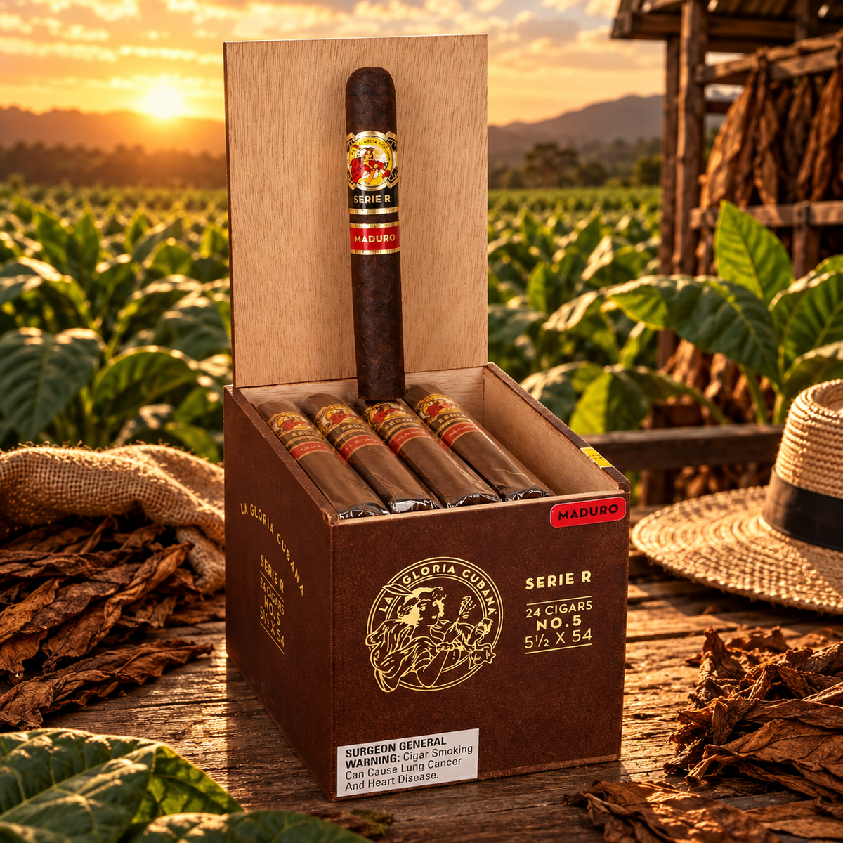 Cuban Glory Series R No. 5 Maduro