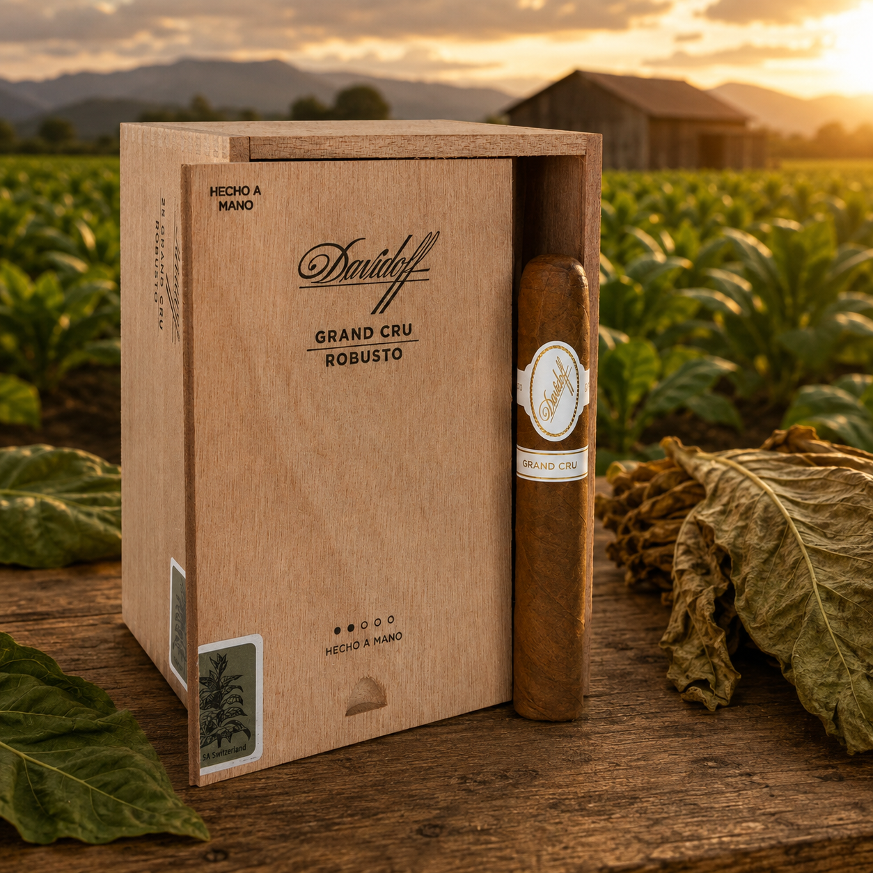 Davidoff Grand Cru Robusto