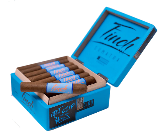 Blackbird Finch Sumatra Robusto