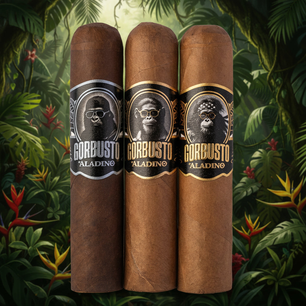 GORBUSTO 3 PACK