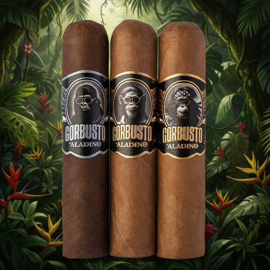 GORBUSTO 3 PACK