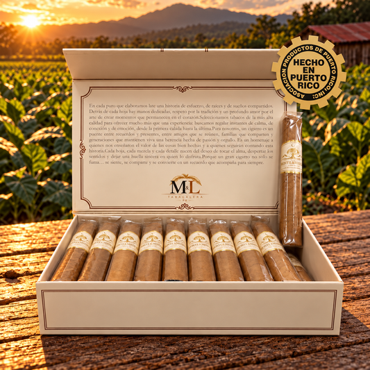 Monte & Mística Connecticut Robusto