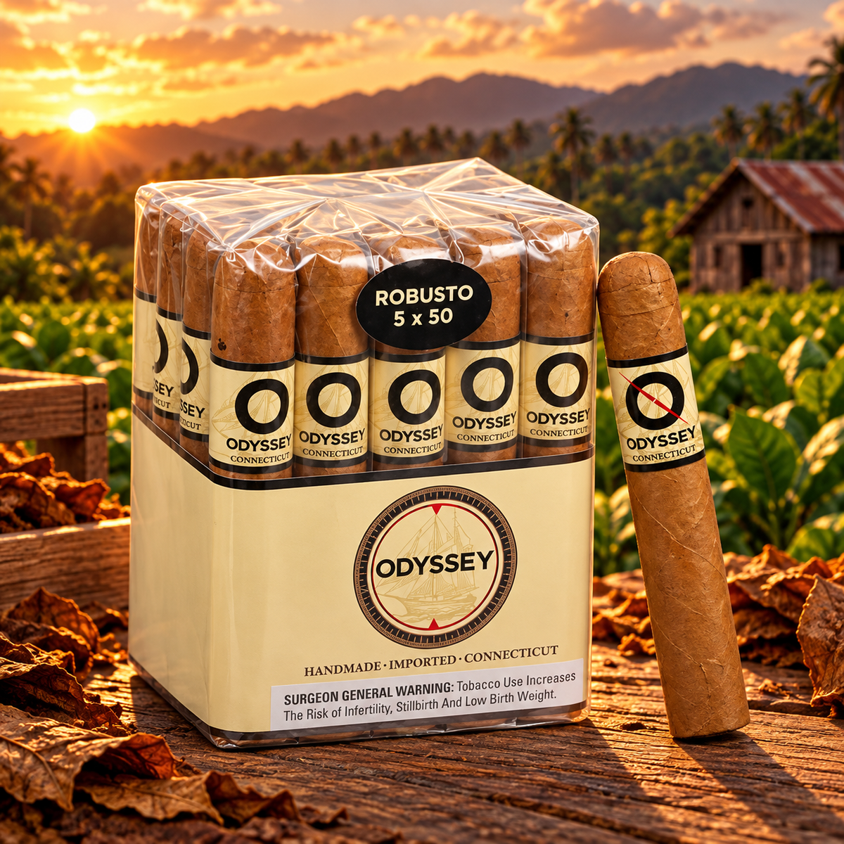 Odyssey Connecticut Robusto
