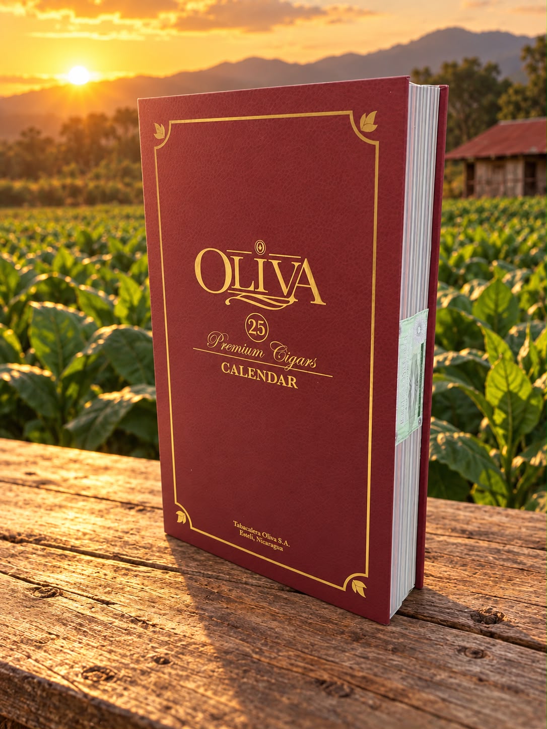 Oliva Advent Calendar Discovery Set