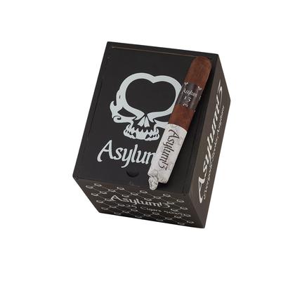 Asylum 13 Robust