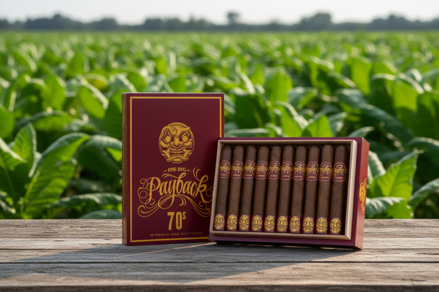 Room 101 The Big Payback Gigante 70
